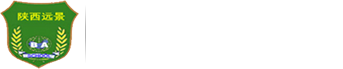 Զ޹˾